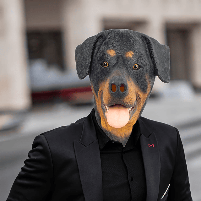 Rottweiler Máscara Cabeza de Perro Animal Látex Cabeza Compl