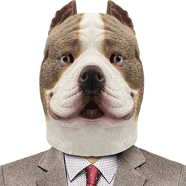 Bully Dog Head Mask Pitbull Animal Látex Cabeza Completa Más