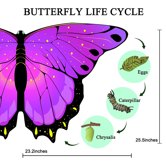 Disfraz de alas de mariposa para niñas, máscara de vestir, d