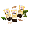 BB Cream con SPF 15, loción teñida con protector solar de am