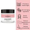 Dream Cream Menopause Skincare Night Cream - Despierta desca