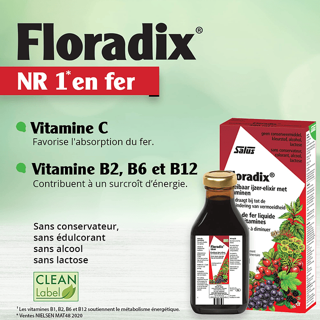 Floradix Fórmula Líquida de Hierro y Vitaminas 250ml