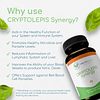 Cryptolepis Synergy, vitaminas de apoyo inmunológico, refuer