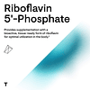 Riboflavina 5'-Fosfato Forma bioactiva de vitamina B2 para a