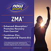 Nutrición deportiva, ZMA (zinc, magnesio y vitamina B-6), ab