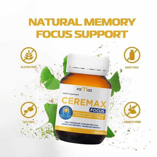 Suplemento cerebral, apoyo a la salud mental, Ginkgo Biloba,