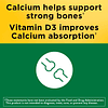 Calcio 500 mg con vitamina D3, suplemento dietético para el