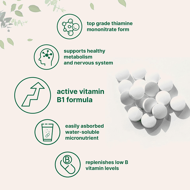 Vitamina B1 500 mg por porción, 240 tabletas | Suplemento de