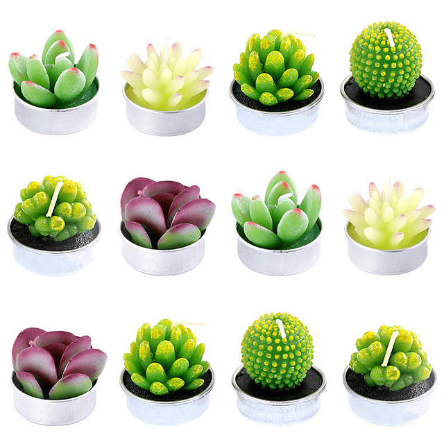 Juego de 12 velas decorativas de cactus suculentas lindas pl