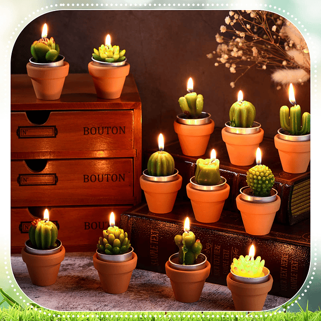 60 velas suculentas a granel decorativas de cactus velas de