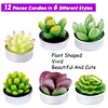 Juego de 12 velas decorativas de cactus suculentas lindas pl