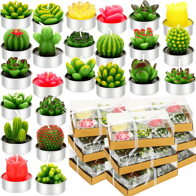 72 velas suculentas de cactus velas hechas a mano delicadas