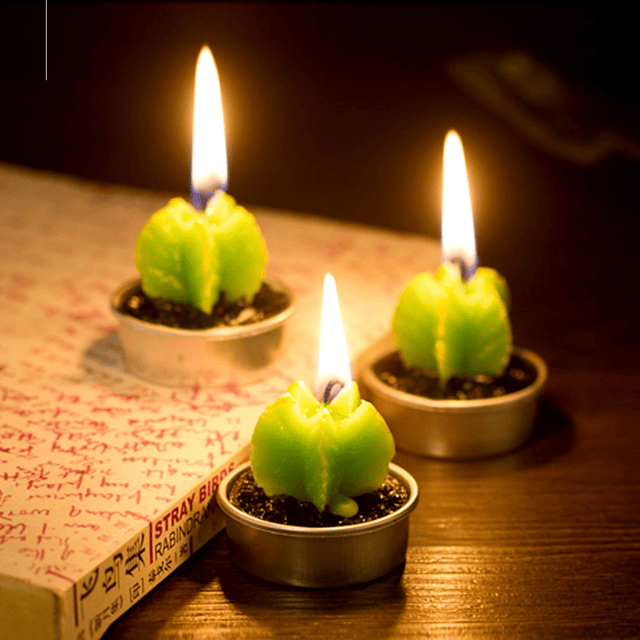 Juego de 12 velas decorativas de cactus suculentas lindas pl