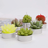 6 velas de té de cactus hechas a mano delicadas velas de cac