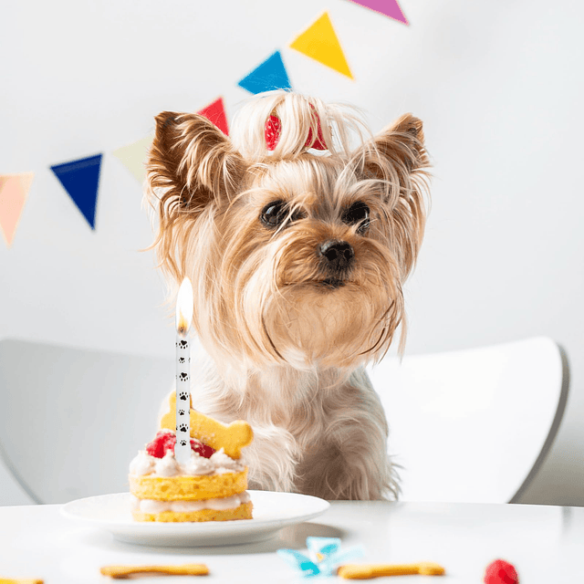 Velas de cumpleaños con temática de huellas de perro juego d