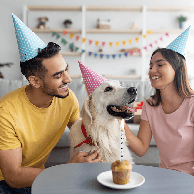 Velas de cumpleaños con temática de huellas de perro juego d