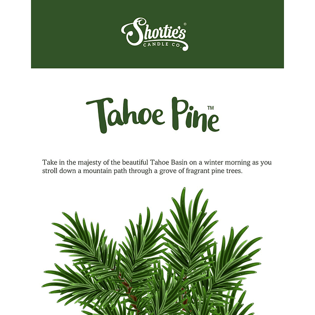 Tahoe Pine Premium Velas de té paquete múltiple Altamente pe