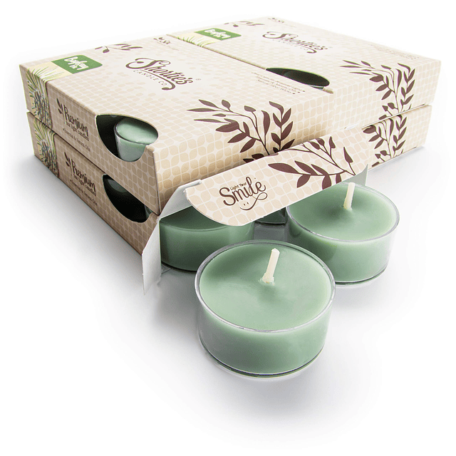 Paquete a granel de velas de té Bayberry Fir Premium altamen