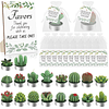 109 velas de cactus suculentas para regalos de baby shower r