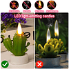 Velas de cactus suculentas 9 unidades velas de té con pilas