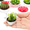 48 Piezas Velas de Cactus Suculentas Velas Candelitas de Cac