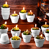 48 velas suculentas de cactus velas de plantas para baby sho