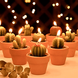 12 velas de té de cactus regalos de despedida de soltera dec