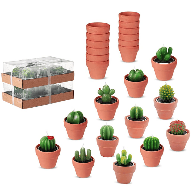 12 velas de té de cactus regalos de despedida de soltera dec