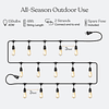 Ambience Pro Cadena de luces para exteriores, 48 ​​pies, reg