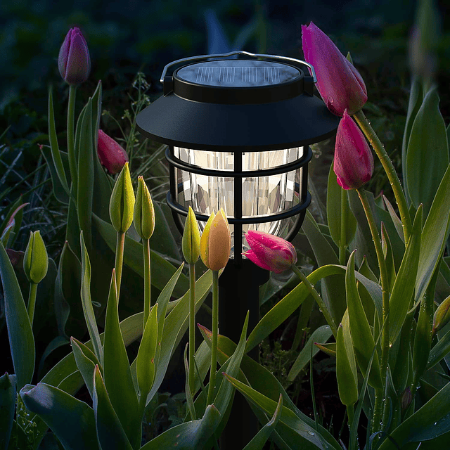 Paquete de 10 luces solares para caminos, luces de jardín co