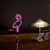 Juego de 2 luces solares de estaca para jardín Flamingo, luz