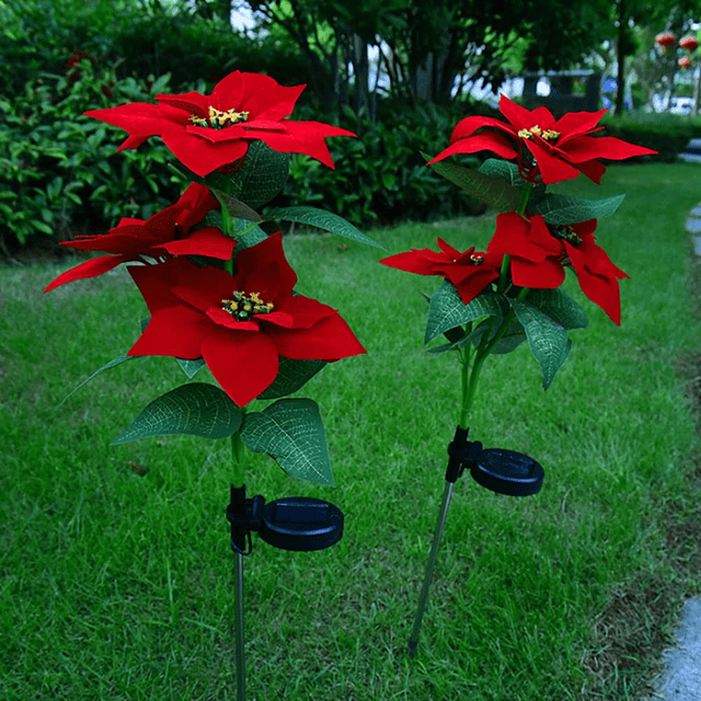 Luces solares de jardín IP65 impermeables luces solares de f