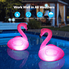 Luces flotantes para piscina, luces solares para piscina de