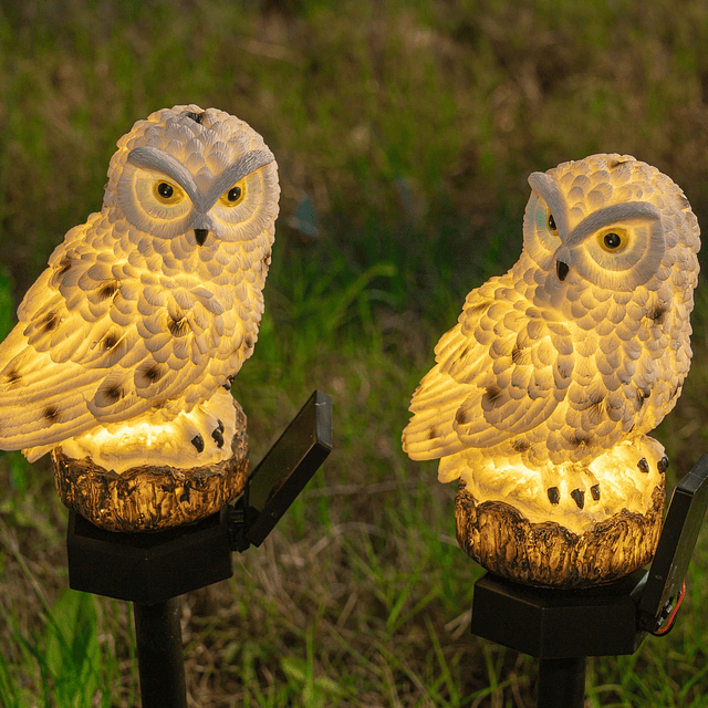 Paquete de 2 figuras de búho con luces LED solares de resina