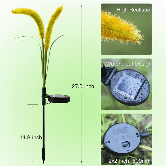 Luces solares Setaria Viridis mejoradas, luces solares imper