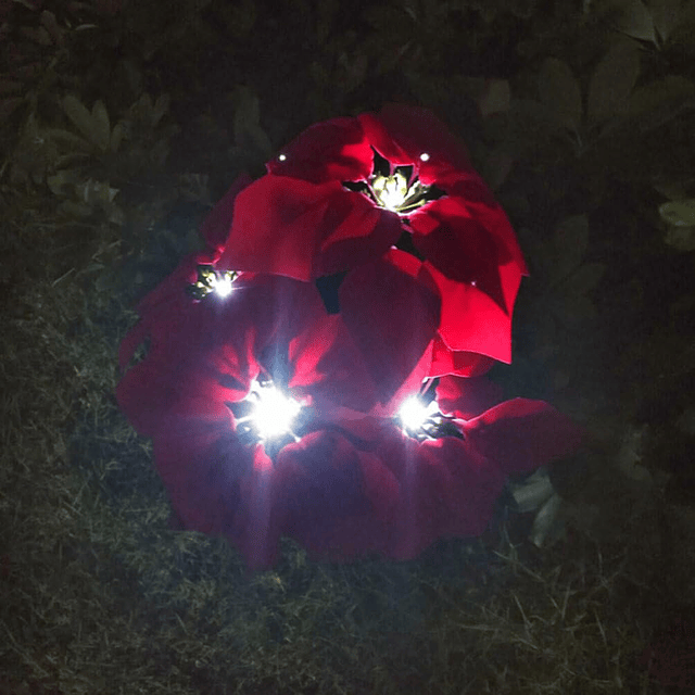 2 piezas de luces solares de jardín de Navidad al aire libre