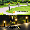 Luces solares para caminos al aire libre, paquete de 4 luces