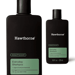 Shampoo de uso diario para hombres . Para un cabello más fue