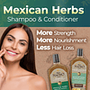 Juego de Shampoo y acondicionador fortalecedor de hierbas me