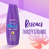 Juego de Shampoo y acondicionador húmedo Aussie Miracle con