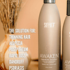 Shampoo terapéutico Surface Hair Awaken, 10 onzas líquidas O