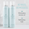 Detox Dry Shampoo aroma original - Tamaño de viaje | Absorbe