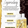 Juego de Shampoo y acondicionador LEGENDARY Dream Hair | Sal