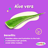 Shampoo Sin Parabenos con Aloe Vera y Aguacate. Shampoo para