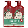 Shampoo Tea Tree para hombres, Shampoo refrescante con árbol