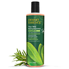 Shampoo reponedor de aceite de árbol de té , 12.7 fl oz, sin