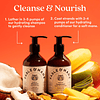 Fable and Mane HoliRoots Shampoo de aceite de coco para muje