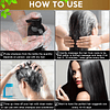 Shampoo para tinte de cabello para cabello gris, Shampoo a b