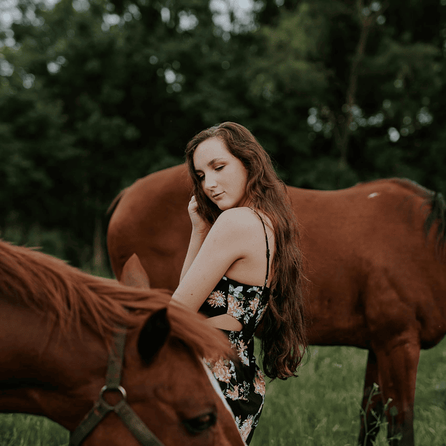 Acondicionador del Caballo, Acondicionador Hidratante para P