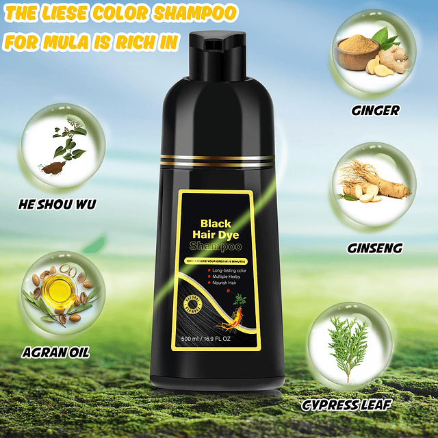 Shampoo para color de cabello negro 3 en 1, cobertura de can